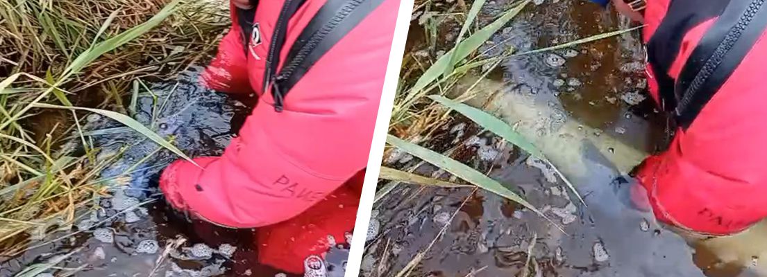 SylWrap HD used to protect and repair the underwater gas pipe repair network in Scotland operated by Scotia Gas